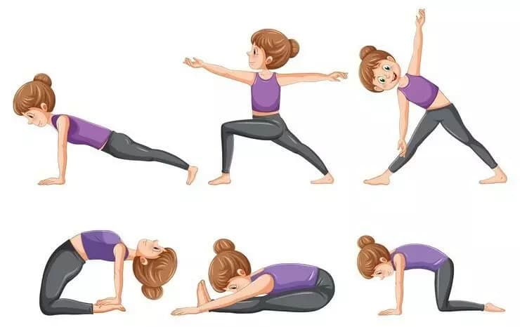 5 Chair Yoga Exercises to Improve Your Mobility