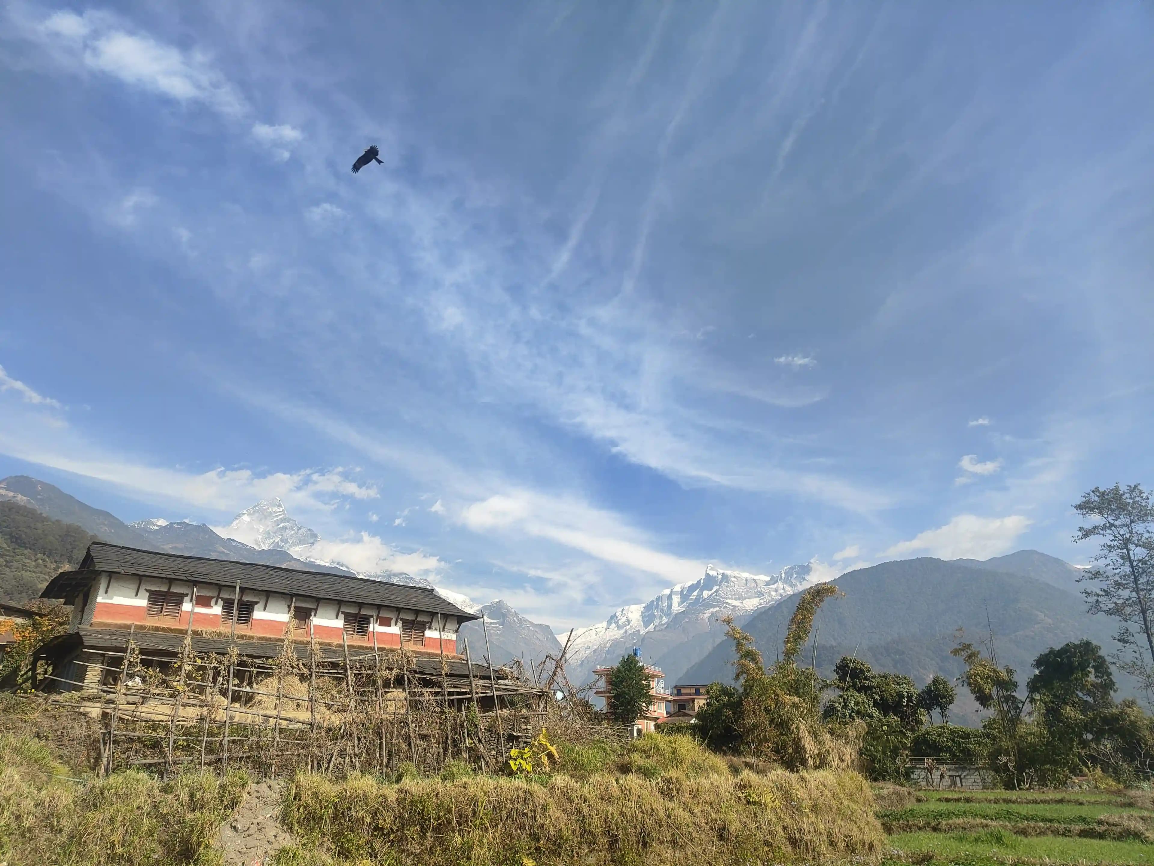 Ashram premises and Accommodation