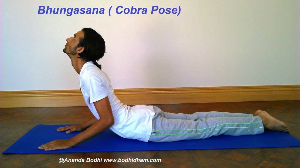 Bhujangasana Bhujangasana
