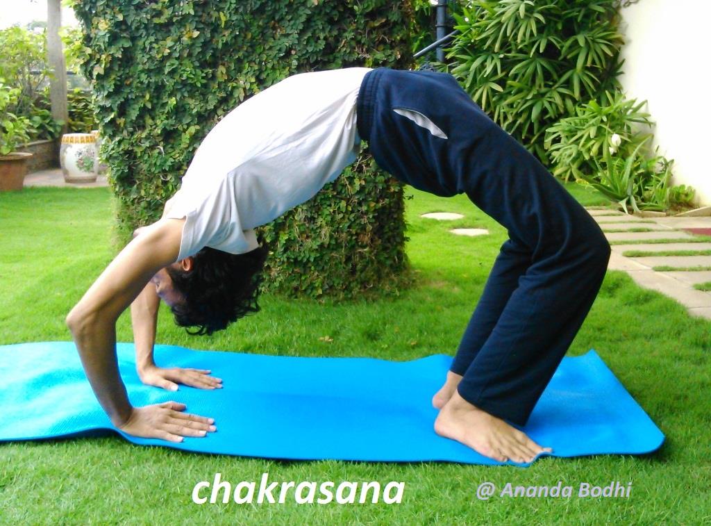 Chakrasan (Wheel Posture) Chakrasan (Wheel Posture)