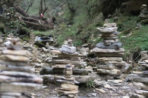 pebble stone bodhidham trip