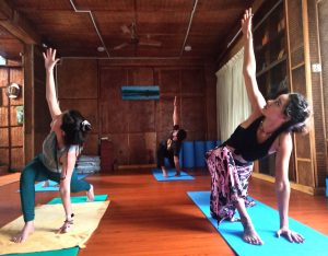 #standard_yoga_retreat