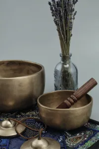 Singing Bowl Sound Healing Retreat Course